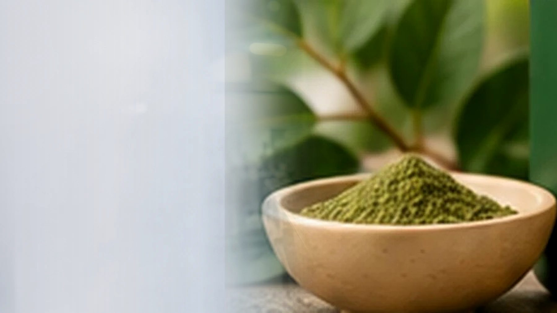 Active & Botanical Blends at BioCorp Nutrition Labs