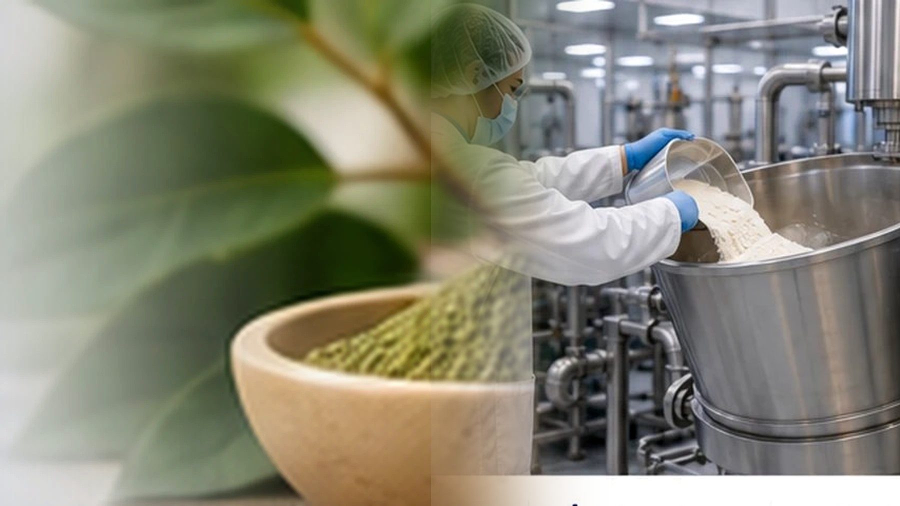 Herbal Powders at BioCorp Nutrition Labs